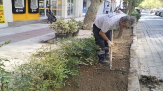 Şehzadeler'de parklar dört mevsim bakımlı tutuluyor