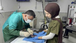Sekizinci kattan düşerek bacakları kırılan kedi, başarılı operasyon sayesinde 4 günde yürümeye başladı