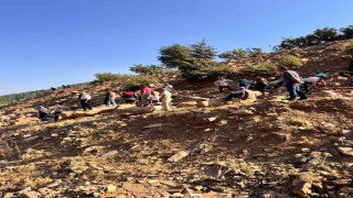 Sepetli motosiklet uçurumdan uçtu: 3 yaralı