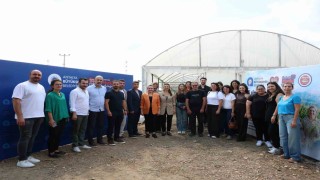 Serikli üreticilere don nöbetini sonlandırmak için dijital sensör desteği