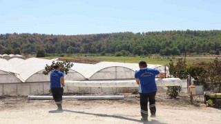Seydikemerde yangının yaraları bir günde sarılmaya başlandı