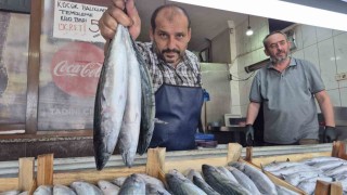 Sezonun gözdesi palamut ve hamsi tezgahları şenlendirdi