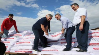 Sincan Belediyesinden çiftçilere buğday tohumu desteği
