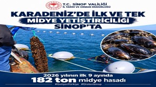 Sinop'ta 9 ayda 182 ton midye hasadı