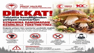 Sinop'ta mantar toplayıcılarına uyarı