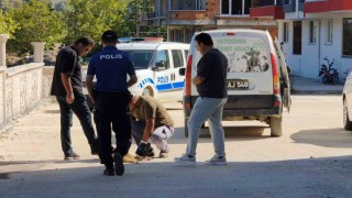 Sinopta sokak köpeği silahla vurularak öldürüldü