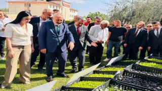 Şırnakta üreticilere 152 bin sebze fidesi ve çoban çantası dağıtıldı