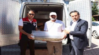 Sivasta yüzbinlerce yavru balık göl ve göletlere bırakıldı