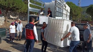 Sökede incir üreticilerine yüzde 50 hibeli kerevet desteği