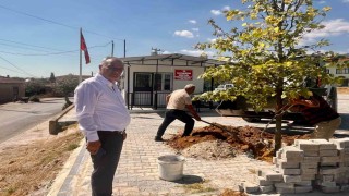 Sultanhisar'da ağaçlandırma çalışmaları sürüyor