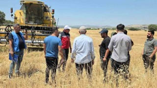 TAKEP kapsamında yüzde 75 hibe ile mercimek tohumuna müracaatlar başladı