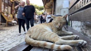Tarihi sokaklarda hafta sonu hareketliliği