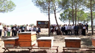 Tarım Akademisinde sertifika heyecan