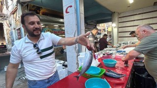 Tavşanlı Balık Pazarında sezon hareketliliği