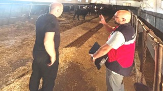 Tavşanlıda Destek Projesi kapsamındaki ithal hayvanlar kontrolden geçirildi