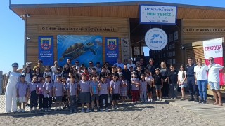 Tedavisi tamamlanan iki yeşil deniz kaplumbağası denize bırakıldı