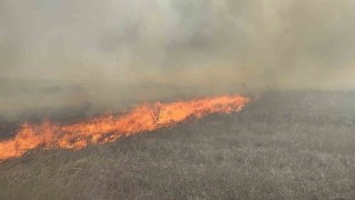 Tekirdağ'da mera yangını