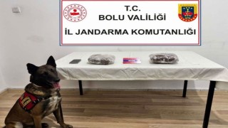 TEMde yolcu otobüsünde 810 gram esrar ele geçirildi; 1 tutuklama