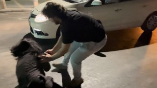 Ters yola girip gazeteci ve polislere hakaret eden şahıslar adliyeye sevk edildi