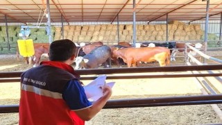 TİGEM işletmelerinde denetim yapıldı