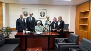 Tıp eğitimi ve üniversite hekimlerinin sorunları YÖKte ele alındı