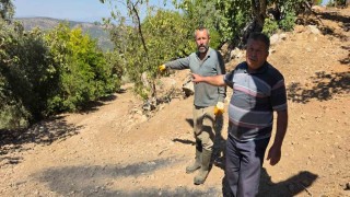 Tire'de bitmeyen yol çilesi: Mahalleli can güvenliğinden endişeli
