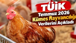 TÜİK Temmuz 2026 Kümes Hayvancılığı Verilerini Açıkladı