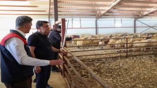 Tunceli'de kırsal kalkınma destekleri üreticiye güç veriyor