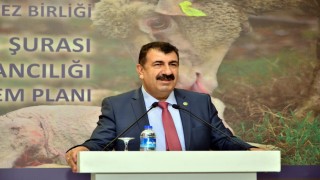 TÜRKYED Genel Başkanı Çelik: Son dönemde devletin haksız kazanç, organize suç ve vatandaşın ekonomik düzenini bozan yapılara yönelik operasyonları önemli