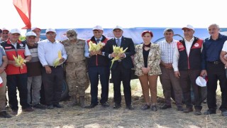 Tuşba'da "Silajlık Mısır Hasadı Tarla Günü" düzenlendi