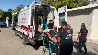 Tütün işçilerini taşıyan minibüs devrildi: 12 yaralı