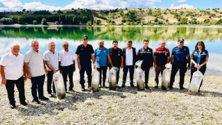 Uluköy Barajına 75 bin sazan yavrusu bırakıldı