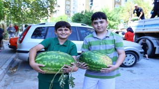 Üreticinin imdadına Başkan Çavuşoğlu yetişti
