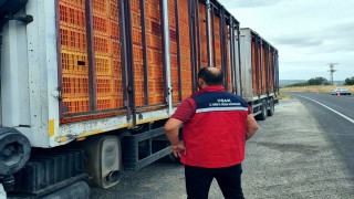 Uşak'ta hayvan hastalıklarına karşı yol kontrol ve denetimler aralıksız devam ediyor