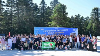 Uyumayan kütüphaneden üniversiteye