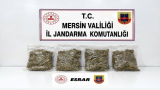 Uyuşturucu taciri 2 kilo 100 gram esrarla yakalandı