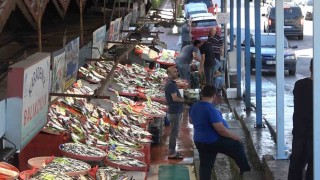 Yalova Balık Halinde fiyatlar düşüşe geçti
