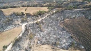 Yangın sonrası acı manzara: Canımızı zor kurtardık