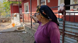 Yangınzedeler o geceyi anlattı: Evlerimizi ve hayvanlarımızı kurtarmak için sabaha kadar mücadele ettik