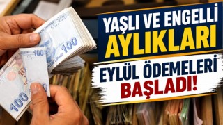 Yaşlı ve Engelli Aylıkları Eylül Ödemeleri Başladı!