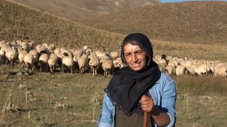 Yaylanın kadın çobanı: Üretici olup, kendi işimi yapmak istiyorum