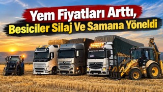 Yem Fiyatları Arttı, Besiciler Silaj Ve Samana Yöneldi
