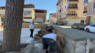 Yenipazarda öğrenciler için eğitim alanları yenileniyor