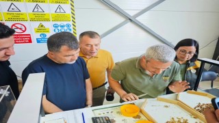 Yığılca TMO fındık alım merkezi açıldı