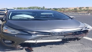Yola aniden çıkan koyun kazaya sebep oldu, 1 yaralı