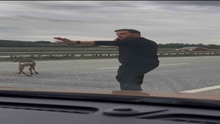 Yola düşen geyiğin yardımına koştu