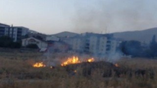 Yüksekova'da anız yangını
