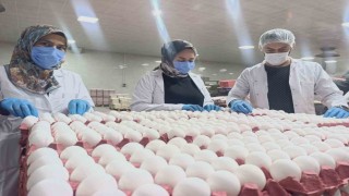Yumurta fiyatlarına kısa vadede zam beklenmiyor