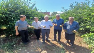 Yüreğir'de dolu afeti: Yaklaşık 35 bin dönüm tarım alanı zarar gördü