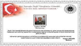 Zeytin Dalı Harekât Bölgesi'nden Acı Haber